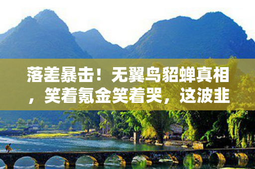 落差暴击！无翼鸟貂蝉真相，笑着氪金笑着哭，这波韭菜割得我膝盖中箭