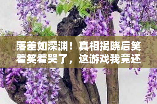 落差如深渊!真相揭晓后笑着笑着哭了,这游戏我竟还放不下 落差如深渊!真相揭晓后笑着笑着哭了,这游戏我竟还放不下
