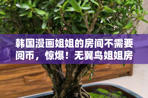 韩国漫画姐姐的房间不需要阅币，惊爆！无翼鸟姐姐房间暗藏3大秘密，真相让人心跳加速！