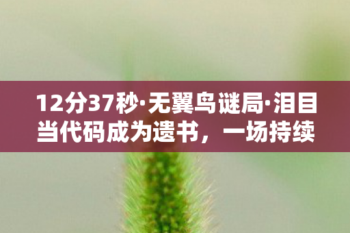 12分37秒·无翼鸟谜局·泪目当代码成为遗书，一场持续17年的电子葬礼