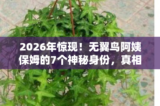 2026年惊现！无翼鸟阿姨保姆的7个神秘身份，真相颠覆想象