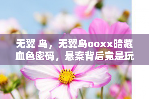 无翼 鸟，无翼鸟ooxx暗藏血色密码，悬案背后竟是玩家集体失忆之谜？