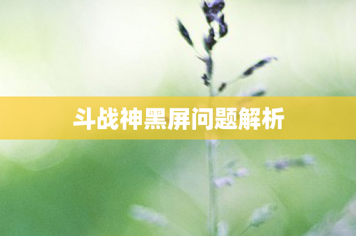 斗战神黑屏问题解析图片