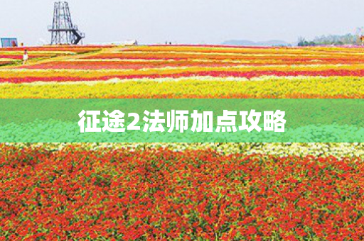 征途2法师加点攻略图片
