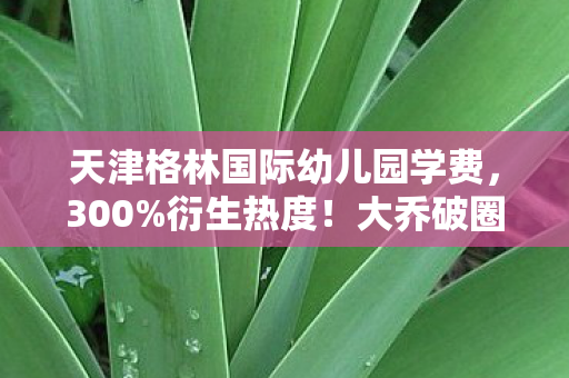 天津格林国际幼儿园学费，300%衍生热度！大乔破圈音乐时尚双杀，这波联动意想不到！