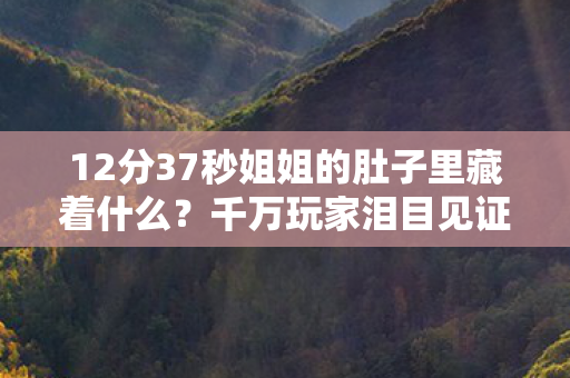 12分37秒姐姐的肚子里藏着什么?千万玩家泪目见证的生命轮回 12分37秒姐姐的肚子里藏着什么?千万玩家泪目见证的生命轮回