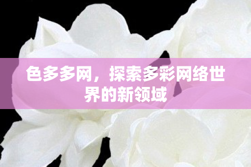 探索多彩网络世界的新领域图片