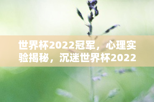 世界杯2022冠军,心理实验揭秘,沉迷世界杯2022模拟游戏,细思极恐的自我麻醉 世界杯2022冠军,心理实验揭秘,沉迷世界杯2022模拟游戏,细思极恐的自我麻醉