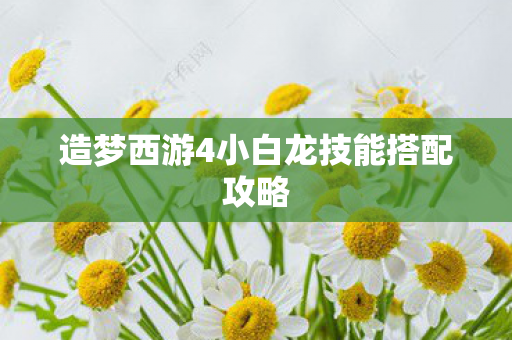 造梦西游4小白龙技能搭配攻略图片