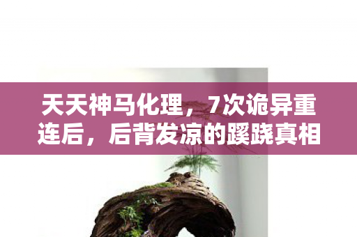 天天神马化理,7次诡异重连后,后背发凉的蹊跷真相,你玩的真是游戏吗? 天天神马化理,7次诡异重连后,后背发凉的蹊跷真相,你玩的真是游戏吗?