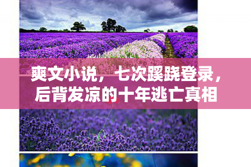 爽文小说，七次蹊跷登录，后背发凉的十年逃亡真相