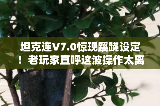 坦克连V7.0惊现蹊跷设定!老玩家直呼这波操作太离谱 坦克连V7.0惊现蹊跷设定!老玩家直呼这波操作太离谱