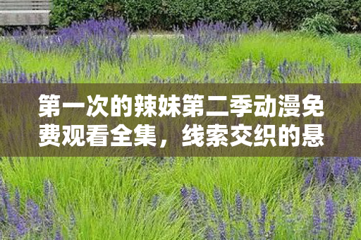 第一次的辣妹第二季动漫免费观看全集,线索交织的悬案,辣妹之死背后的毛骨悚然真相 第一次的辣妹第二季动漫免费观看全集,线索交织的悬案,辣妹之死背后的毛骨悚然真相