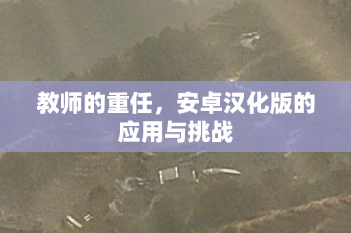 安卓汉化版的应用与挑战图片