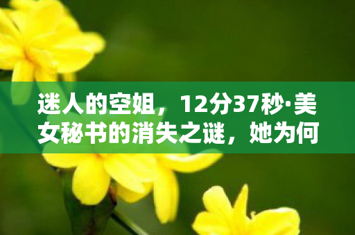 迷人的空姐,12分37秒·美女秘书的消失之谜,她为何让百万玩家泪目? 迷人的空姐,12分37秒·美女秘书的消失之谜,她为何让百万玩家泪目?