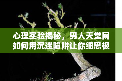 心理实验揭秘,男人天堂网如何用沉迷陷阱让你细思极恐? 心理实验揭秘,男人天堂网如何用沉迷陷阱让你细思极恐?