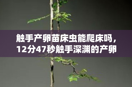 触手产卵苗床虫能爬床吗,12分47秒触手深渊的产卵之谜,当虚拟生命在代码中泪目重生 触手产卵苗床虫能爬床吗,12分47秒触手深渊的产卵之谜,当虚拟生命在代码中泪目重生