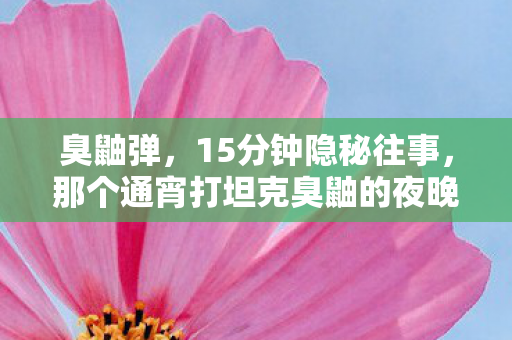臭鼬弹，15分钟隐秘往事，那个通宵打坦克臭鼬的夜晚，我哽咽着说再见