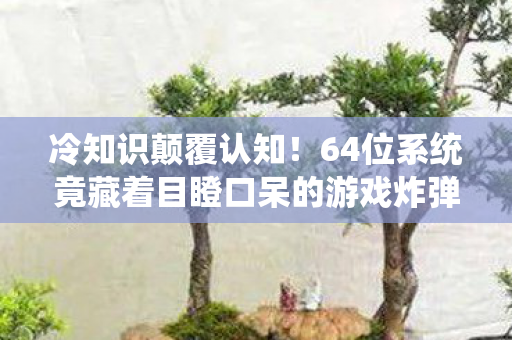 冷知识颠覆认知!64位系统竟藏着目瞪口呆的游戏炸弹设计 冷知识颠覆认知!64位系统竟藏着目瞪口呆的游戏炸弹设计