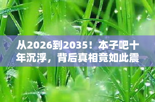 从2026到2035!本子吧十年沉浮,背后真相竟如此震撼! 从2026到2035!本子吧十年沉浮,背后真相竟如此震撼!