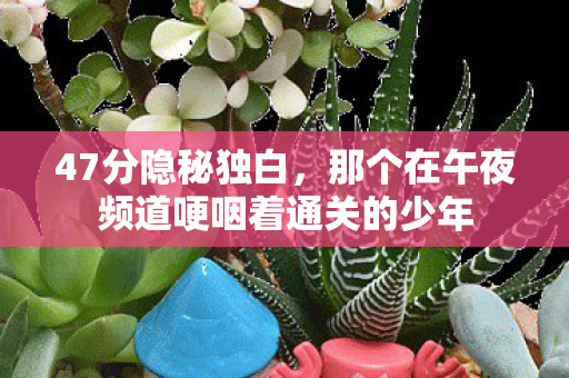 47分隐秘独白,那个在午夜频道哽咽着通关的少年 47分隐秘独白,那个在午夜频道哽咽着通关的少年