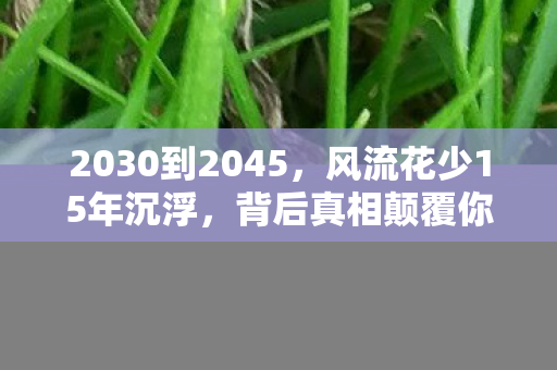 2030到2045,风流花少15年沉浮,背后真相颠覆你对游戏的认知! 2030到2045,风流花少15年沉浮,背后真相颠覆你对游戏的认知!