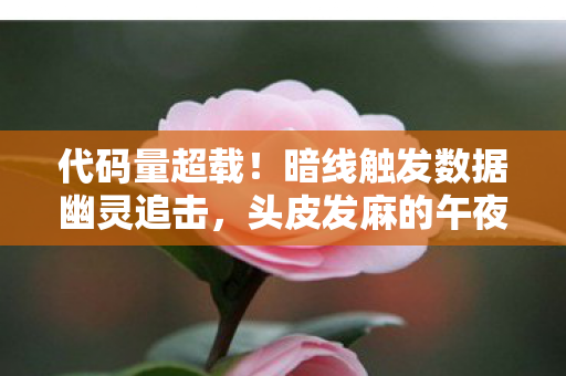 代码量超载!暗线触发数据幽灵追击,头皮发麻的午夜快车逃生 代码量超载!暗线触发数据幽灵追击,头皮发麻的午夜快车逃生