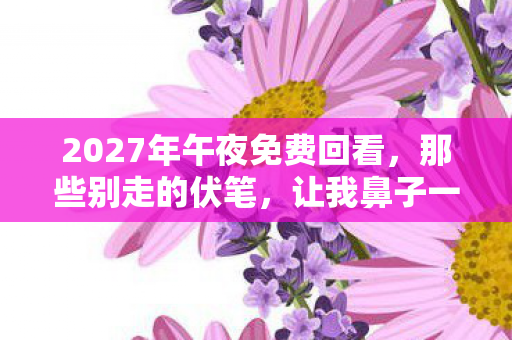 2027年午夜免费回看,那些别走的伏笔,让我鼻子一酸 2027年午夜免费回看,那些别走的伏笔,让我鼻子一酸
