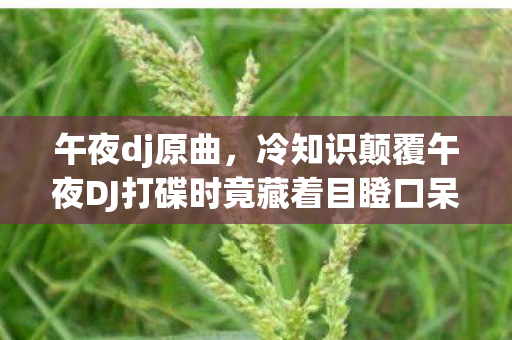 午夜dj原曲,冷知识颠覆午夜DJ打碟时竟藏着目瞪口呆的声波武器设计! 午夜dj原曲,冷知识颠覆午夜DJ打碟时竟藏着目瞪口呆的声波武器设计!