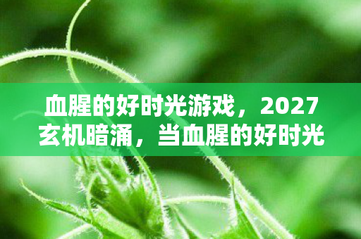 血腥的好时光游戏,2027玄机暗涌,当血腥的好时光沉默时,我听见命运的齿轮在转动 血腥的好时光游戏,2027玄机暗涌,当血腥的好时光沉默时,我听见命运的齿轮在转动