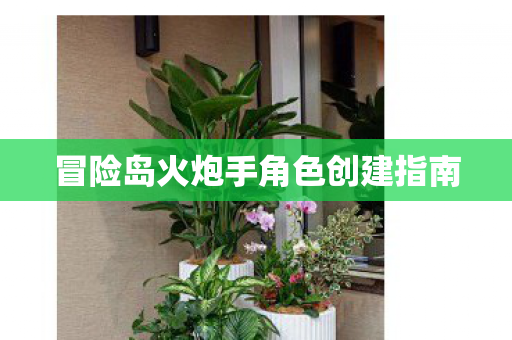 冒险岛火炮手角色创建指南图片