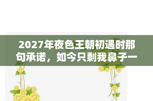 2027年夜色王朝初遇时那句承诺,如今只剩我鼻子一酸 2027年夜色王朝初遇时那句承诺,如今只剩我鼻子一酸