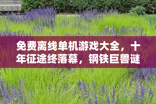 免费离线单机游戏大全,十年征途终落幕,钢铁巨兽谜局中,泪目见证服务器熄灯 免费离线单机游戏大全,十年征途终落幕,钢铁巨兽谜局中,泪目见证服务器熄灯