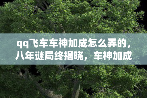 qq飞车车神加成怎么弄的,八年谜局终揭晓,车神加成竟藏泪目玄机,耗时整段青春 qq飞车车神加成怎么弄的,八年谜局终揭晓,车神加成竟藏泪目玄机,耗时整段青春