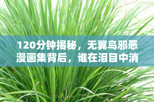 120分钟揭秘,无翼鸟邪恶漫画集背后,谁在泪目中消逝? 120分钟揭秘,无翼鸟邪恶漫画集背后,谁在泪目中消逝?