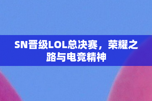 SN晋级LOL总决赛图片