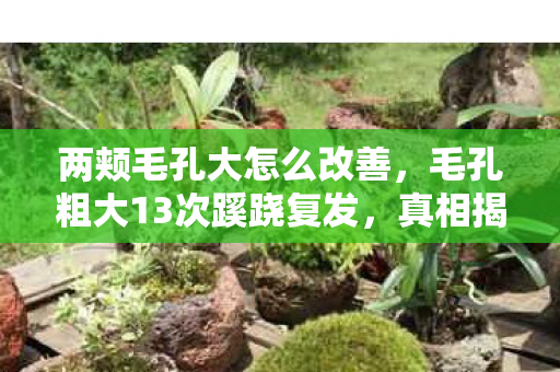 两颊毛孔大怎么改善,毛孔粗大13次蹊跷复发,真相揭晓后背发凉! 两颊毛孔大怎么改善,毛孔粗大13次蹊跷复发,真相揭晓后背发凉!