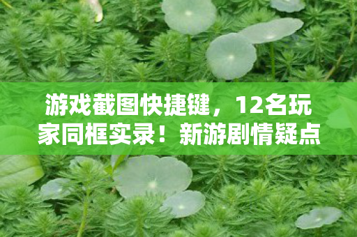 游戏截图快捷键,12名玩家同框实录!新游剧情疑点炸锅,最后这波操作让人绷不住 游戏截图快捷键,12名玩家同框实录!新游剧情疑点炸锅,最后这波操作让人绷不住