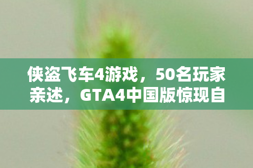 侠盗飞车4游戏,50名玩家亲述,GTA4中国版惊现自由城彩蛋?网吧大神集体绷不住了! 侠盗飞车4游戏,50名玩家亲述,GTA4中国版惊现自由城彩蛋?网吧大神集体绷不住了!