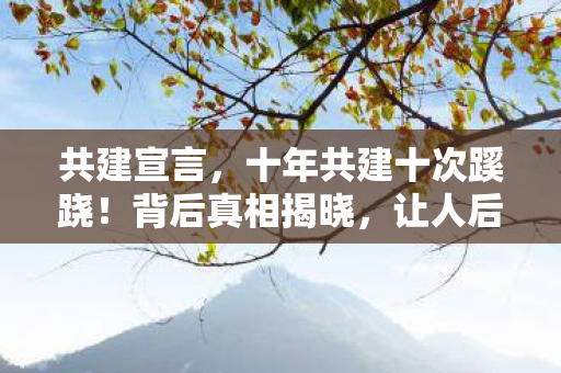 共建宣言,十年共建十次蹊跷!背后真相揭晓,让人后背发凉! 共建宣言,十年共建十次蹊跷!背后真相揭晓,让人后背发凉!