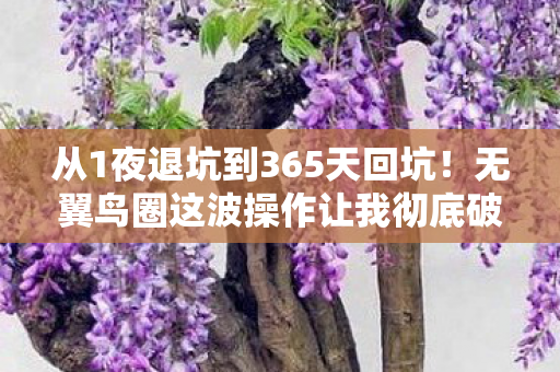 从1夜退坑到365天回坑!无翼鸟圈这波操作让我彻底破防了 从1夜退坑到365天回坑!无翼鸟圈这波操作让我彻底破防了