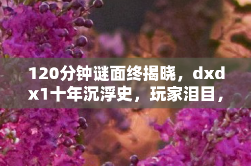 120分钟谜面终揭晓,dxdx1十年沉浮史,玩家泪目,青春已逝 120分钟谜面终揭晓,dxdx1十年沉浮史,玩家泪目,青春已逝