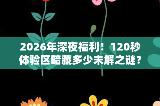 2026年深夜福利！120秒体验区暗藏多少未解之谜？