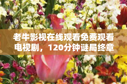 老牛影视在线观看免费观看电视剧，120分钟谜局终章，当37万玩家ID在服务器里集体死亡时，谁在深夜敲响丧钟？