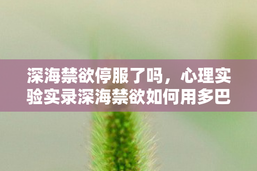 深海禁欲停服了吗,心理实验实录深海禁欲如何用多巴胺陷阱让你沉迷?细思极恐的神经操控 深海禁欲停服了吗,心理实验实录深海禁欲如何用多巴胺陷阱让你沉迷?细思极恐的神经操控