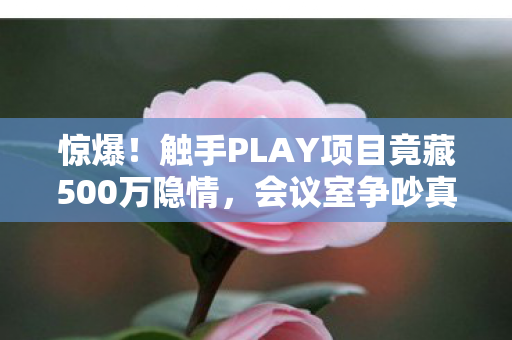 惊爆！触手PLAY项目竟藏500万隐情，会议室争吵真相让人吓一跳！