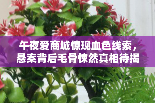 午夜爱商城惊现血色线索,悬案背后毛骨悚然真相待揭 午夜爱商城惊现血色线索,悬案背后毛骨悚然真相待揭
