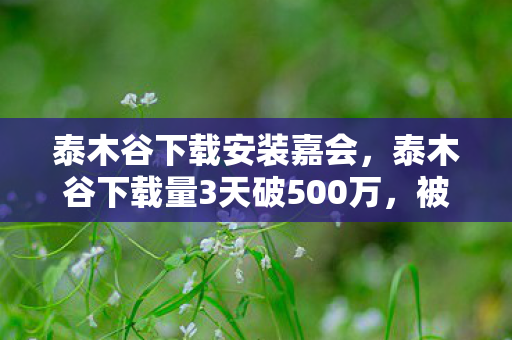 泰木谷下载安装嘉会，泰木谷下载量3天破500万，被遗忘的社交电商竟撕开游戏产业新缺口