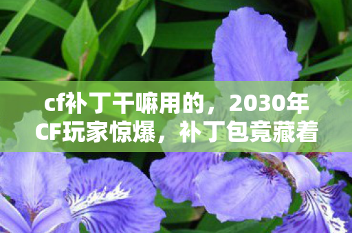 cf补丁干嘛用的,2030年CF玩家惊爆,补丁包竟藏着颠覆认知的十年真相! cf补丁干嘛用的,2030年CF玩家惊爆,补丁包竟藏着颠覆认知的十年真相!