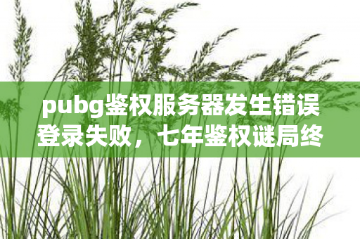 pubg鉴权服务器发生错误登录失败,七年鉴权谜局终落幕,PUBG老兵泪目告别 pubg鉴权服务器发生错误登录失败,七年鉴权谜局终落幕,PUBG老兵泪目告别